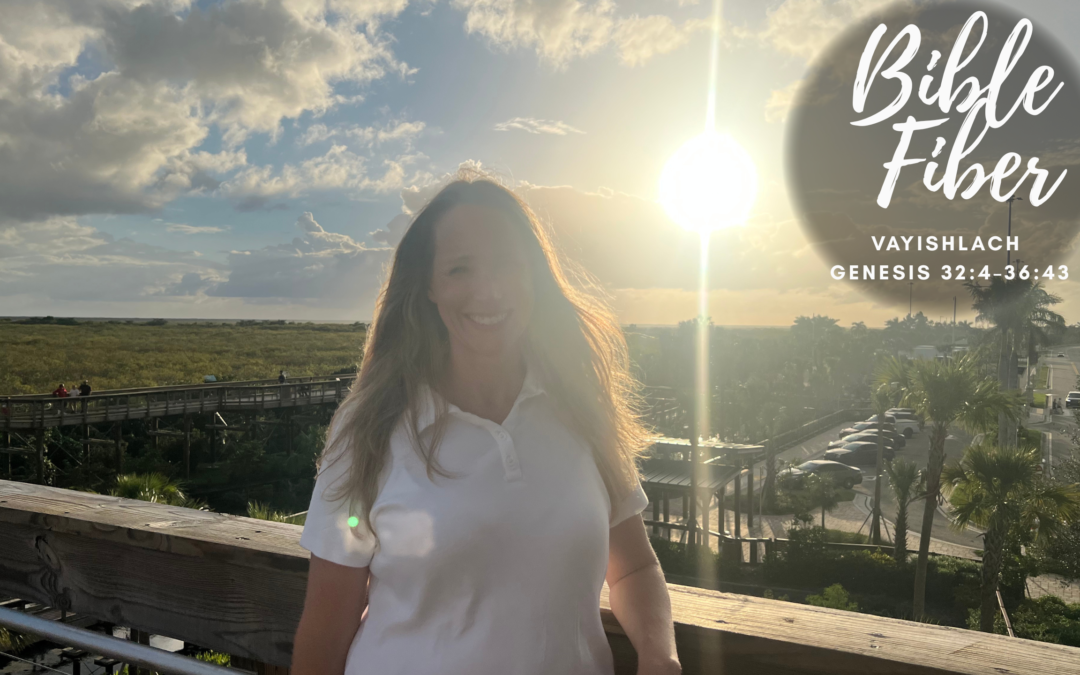 Vayishlah (Genesis 32:4-36:43)