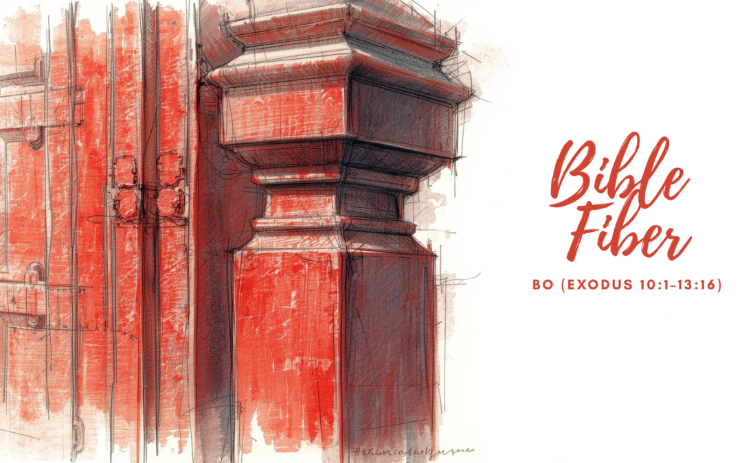 Bo (Exodus 10:1–13:16)