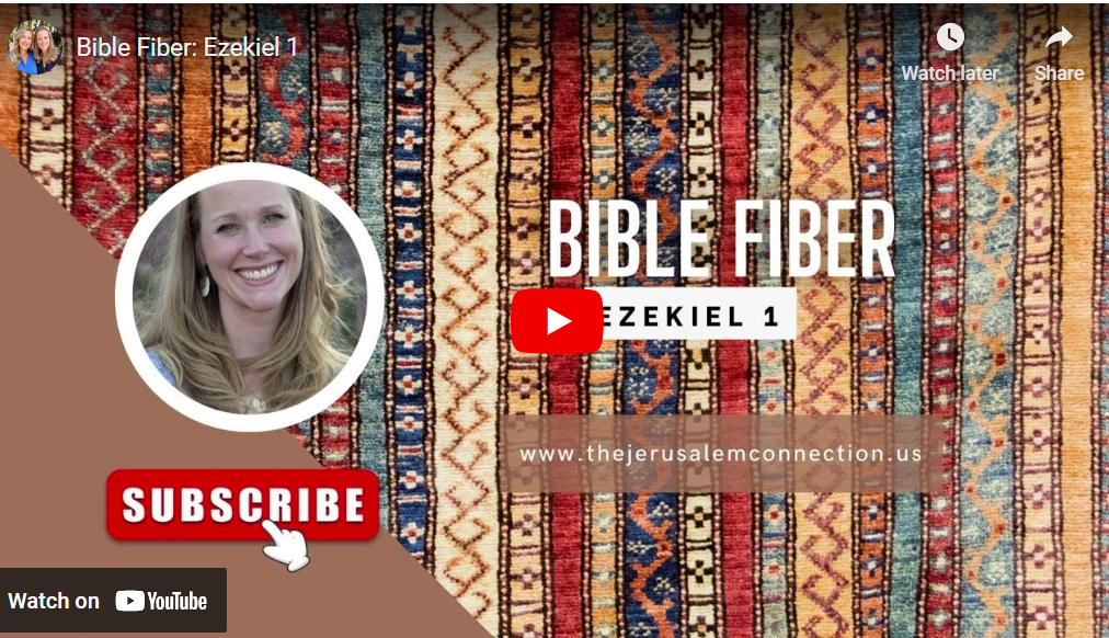 Bible Fiber: Ezekiel 1