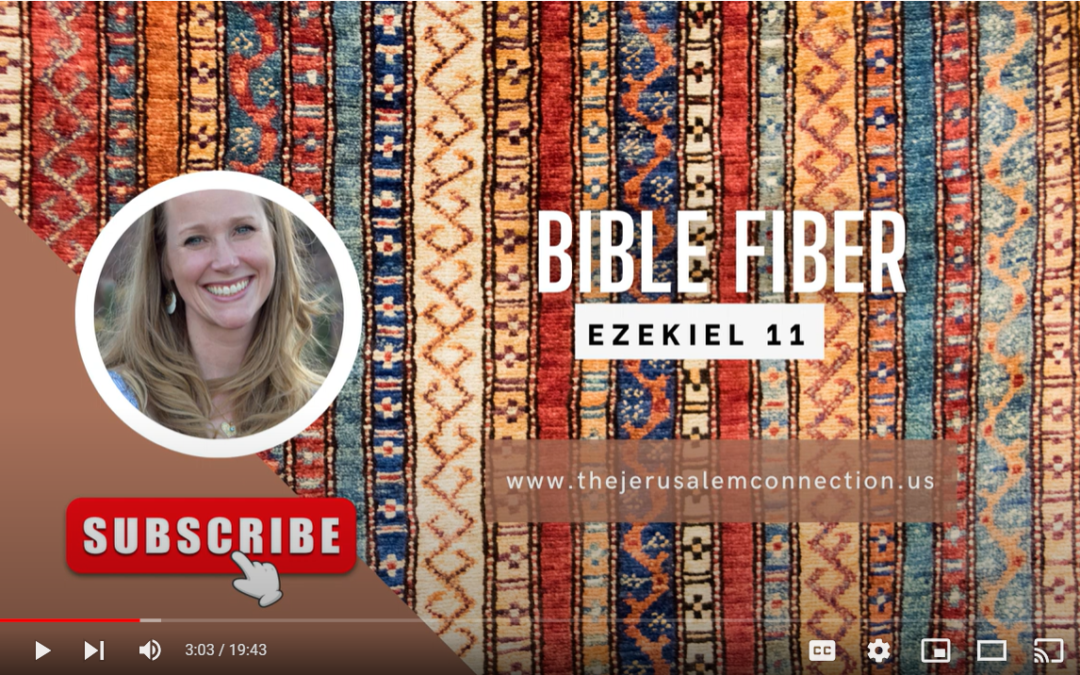 Bible Fiber: Ezekiel 11