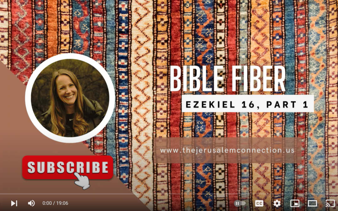 Bible Fiber: Ezekiel 16:1-43