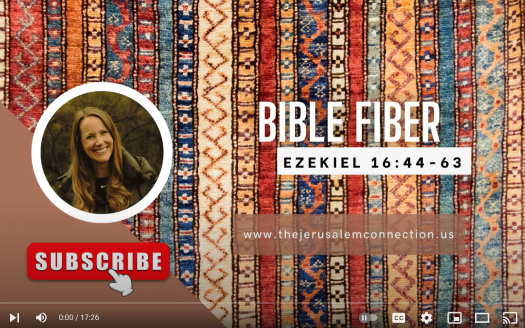 Bible Fiber: Ezekiel 16:44-63