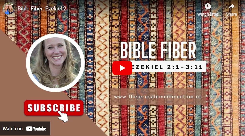 Bible Fiber: Ezekiel 2:1-3:11