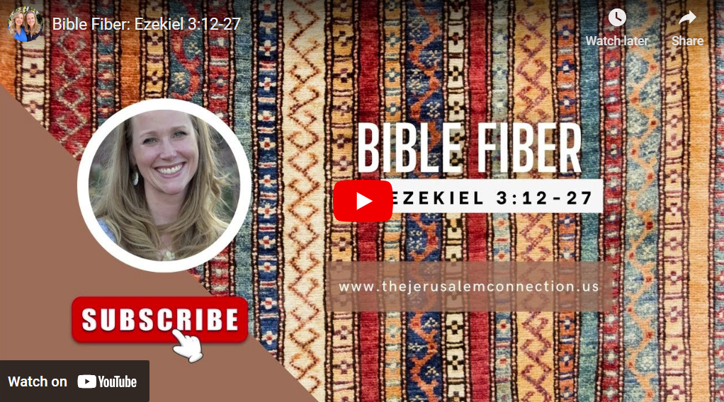 Bible Fiber: Ezekiel 3:12-27