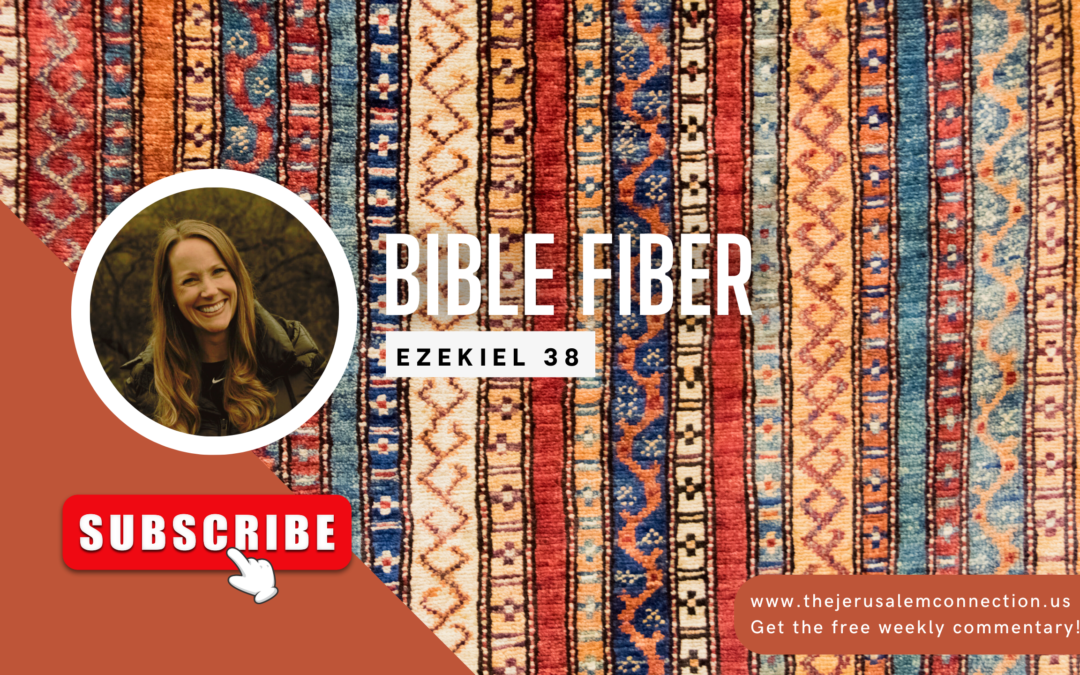 Bible Fiber: Ezekiel 38
