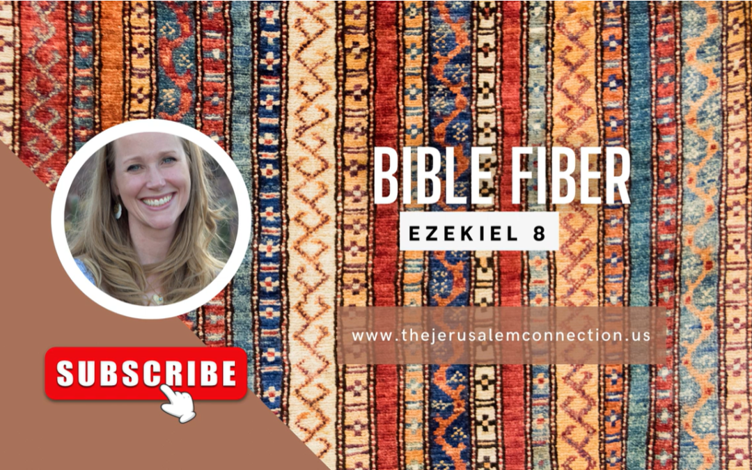 Bible Fiber: Ezekiel 8