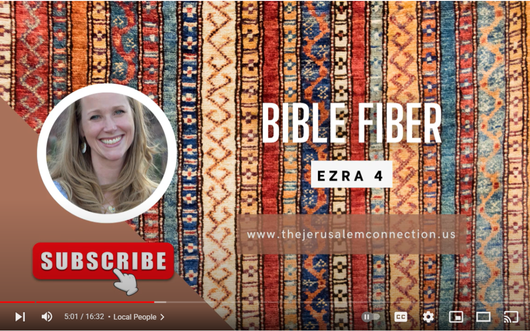 Bible Fiber: Ezra 4
