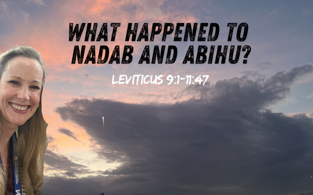 Shemini (Leviticus 9:1–11:47)