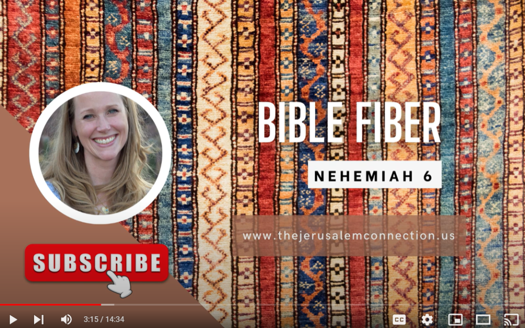 Bible Fiber: Nehemiah 6