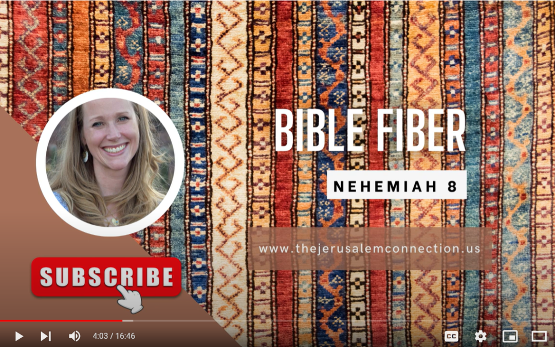 Bible Fiber: Nehemiah 8