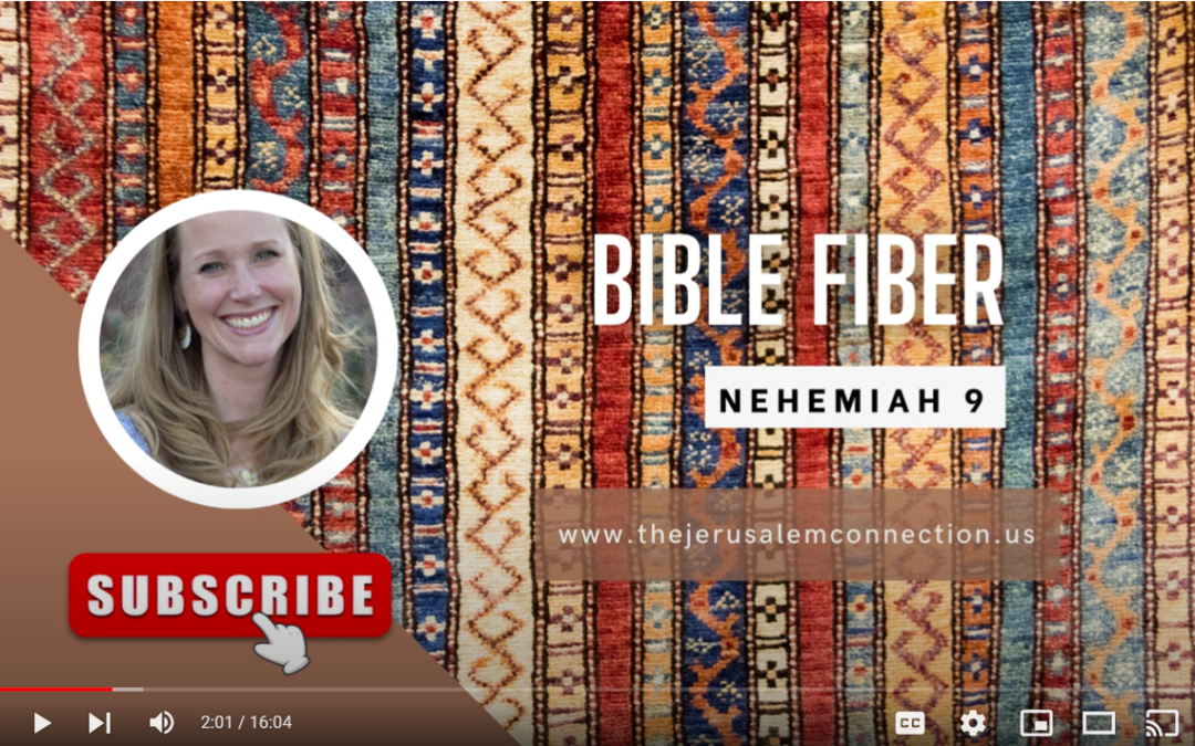 Bible Fiber: Nehemiah 9