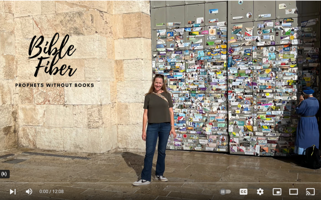 Bible Fiber: The prophets without books