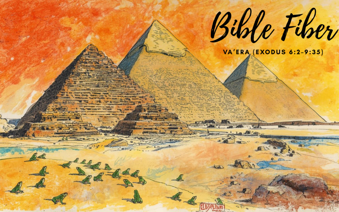 Va’era (Exodus 6:2–9:35)