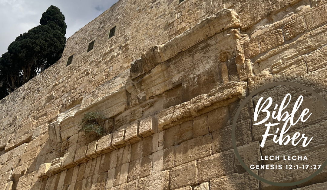 Lech Lecha (Genesis 12:1-17:27)