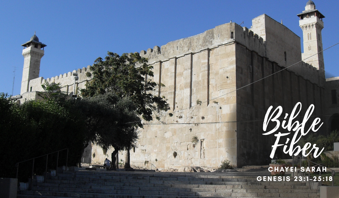 Chayei Sarah (Genesis 23:1–25:18)